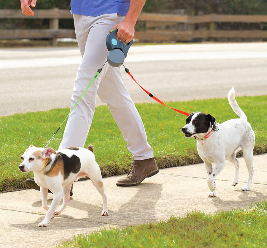 Two-Headed Dog Leash ABS Automatic Retractable