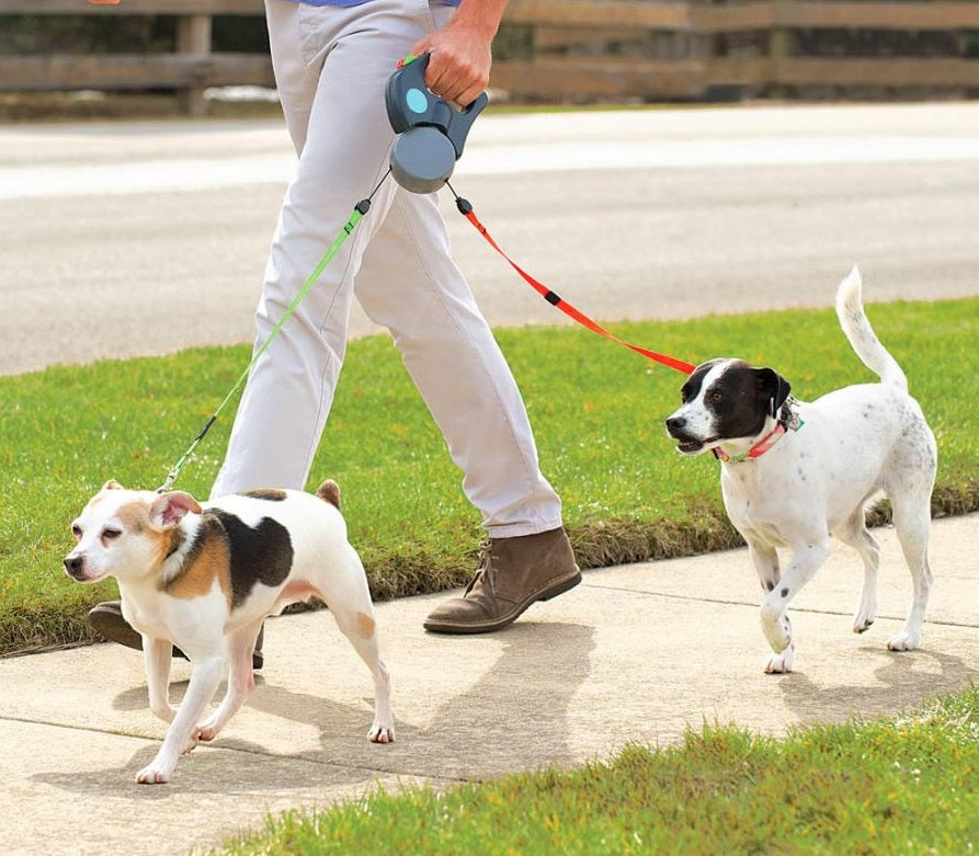 Two-Headed Dog Leash ABS Automatic Retractable